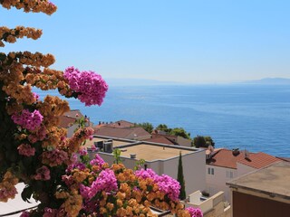 Apartment Okrug Gornji  37