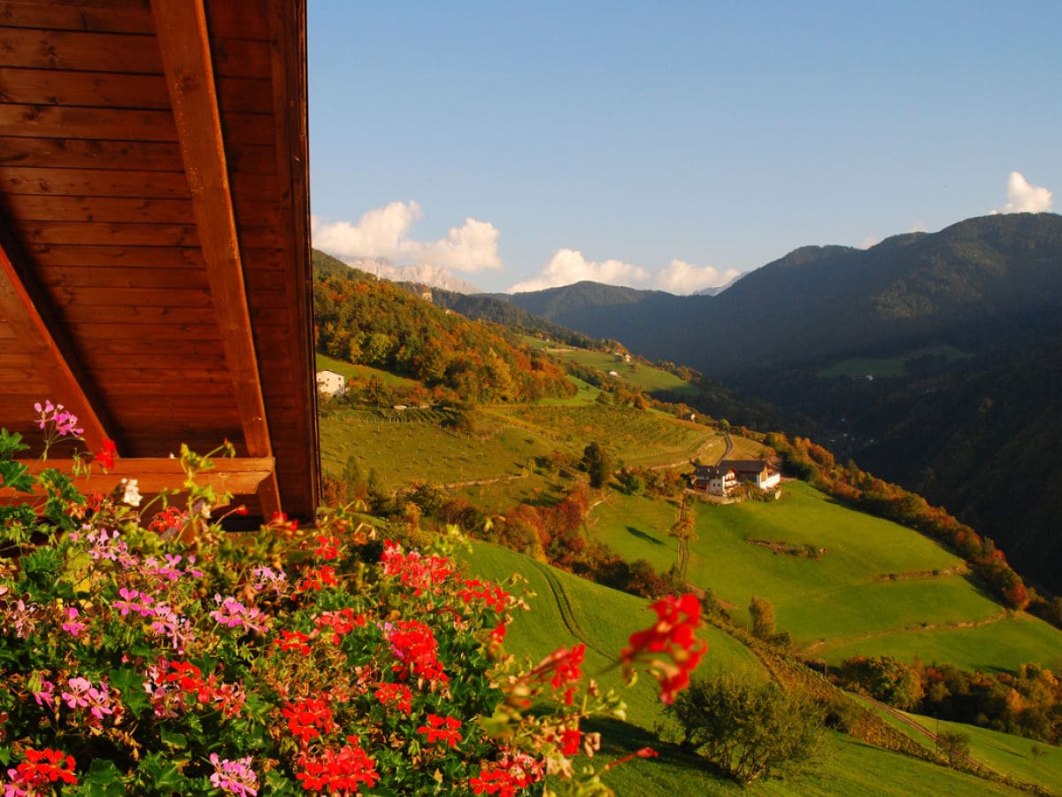 Ausblick vom Balkon