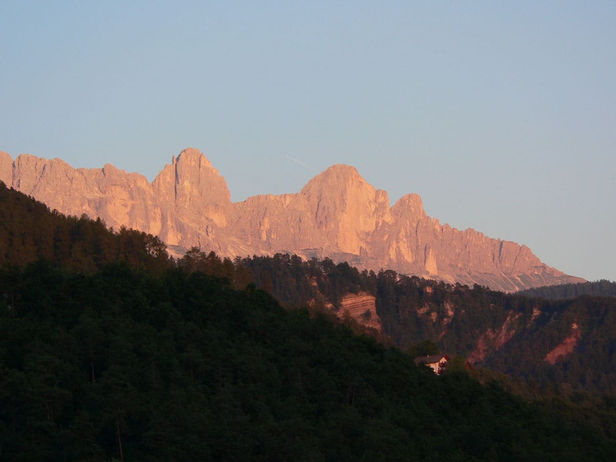 Blick zum Rosengarten