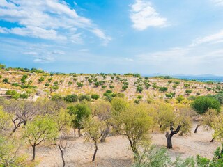 Tenuta Campanet Ambiente 34
