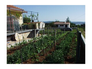 Apartment Mrljane  8