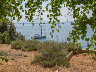 Apartment Bogomolje  7