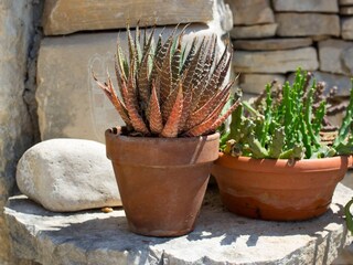 Apartment Bogomolje  13