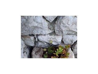 Ferienhaus Turanj  6