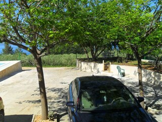 Apartment Podstrana  13