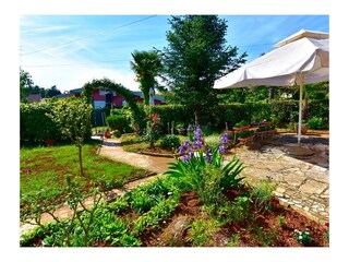 Apartment Savudrija  3