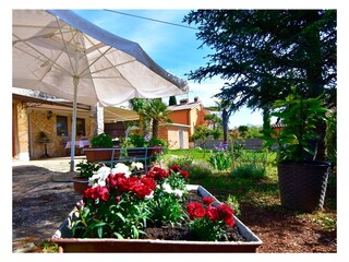 Apartment Savudrija  4