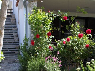 Apartment Vodice  12