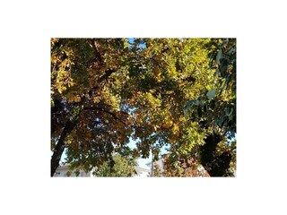 Apartment Malinska  10