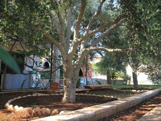 Apartment Vis (Stadt)  10