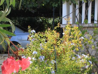 Apartment Vis (Stadt)  11