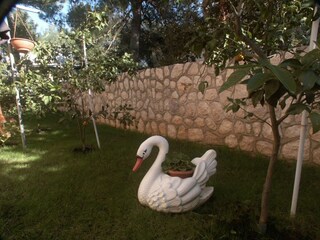 Apartment Ćunski  11