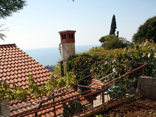 Apartment Dubrovnik  5