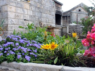 Ferienhaus Korcula (Stadt)  6