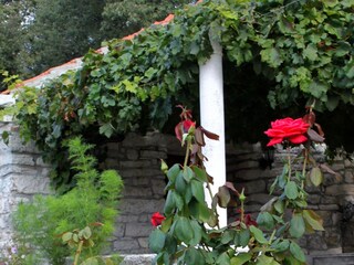 Ferienhaus Korcula (Stadt)  8