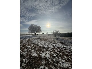 Holiday house Westheim Environment 14