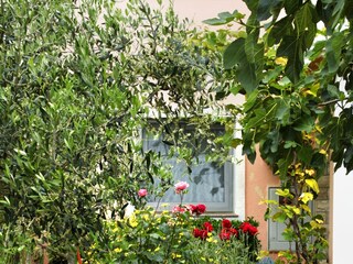 Apartment Povljana  4