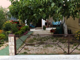 Apartment Povljana  6