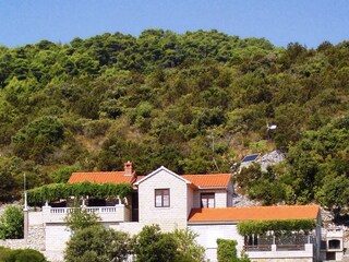 Apartment Lumbarda  4