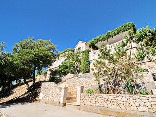 Apartment Lumbarda  5