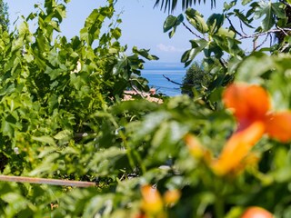 Apartment Lovran  10