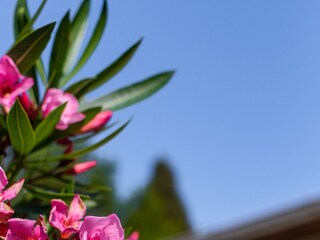 Apartment Lovran  13