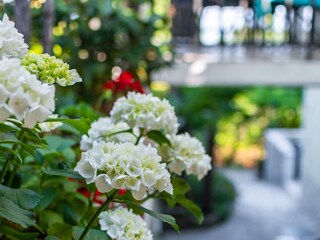 Apartment Lovran  17