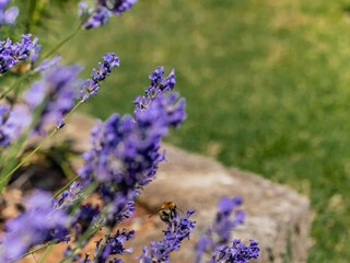 Apartment Lovran  19