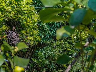 Apartment Lovran  23