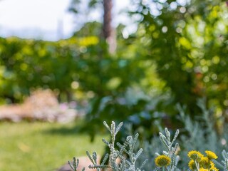 Apartment Lovran  25