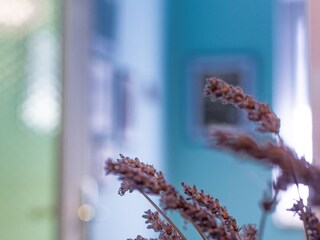 Apartment Lovran  35