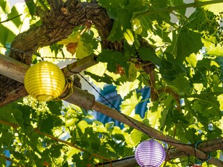 Apartment Lovran  99