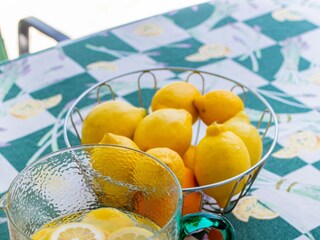 Apartment Lovran  100