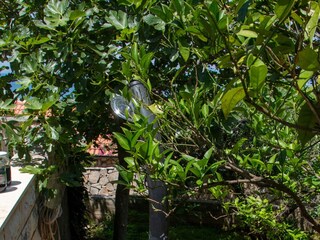 Holiday house Splitska  12