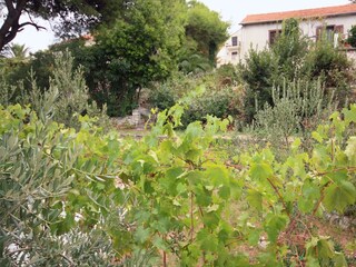 Holiday house Splitska  29