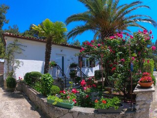 Apartment Ćunski  2