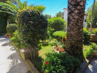 Apartment Ćunski  6