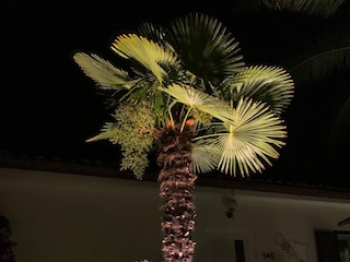 Apartment Ćunski  7