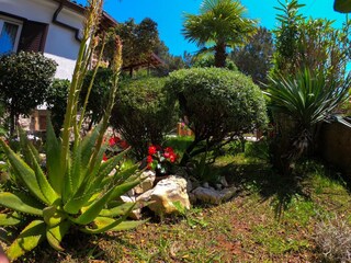 Apartment Ćunski  8