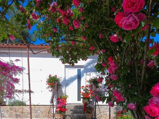 Apartment Ćunski  9