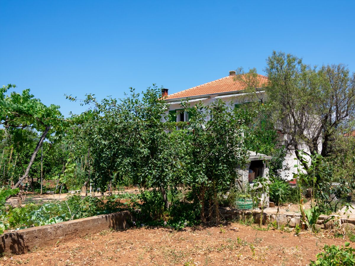 Apartment Tkon 4