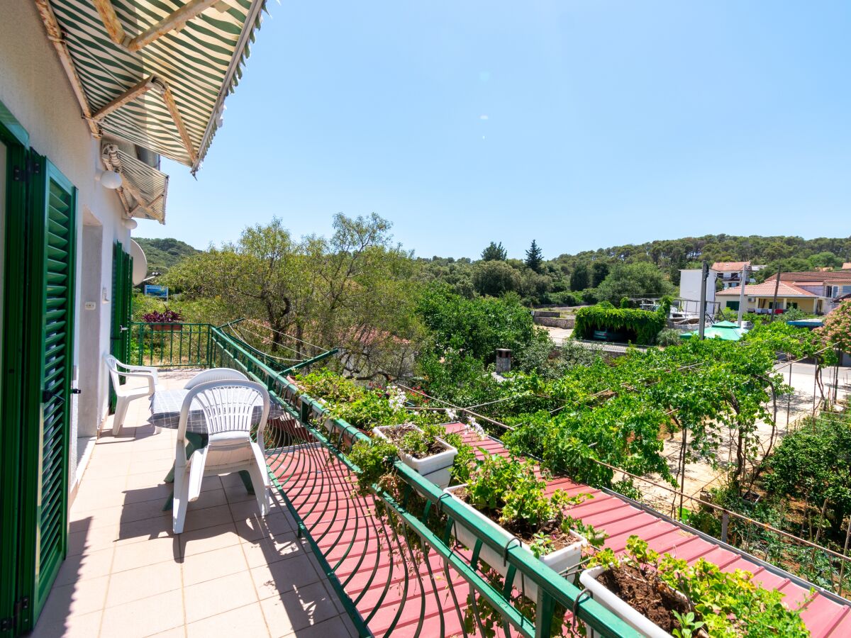 Apartment Tkon 45