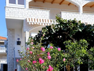 Apartment Okrug Gornji  4