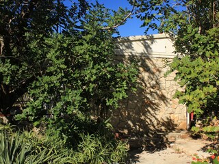 Holiday house Vis (Stadt)  4