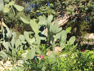 Holiday house Vis (Stadt)  7