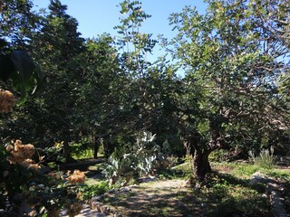 Holiday house Vis (Stadt)  20