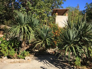 Ferienhaus Vis (Stadt)  4