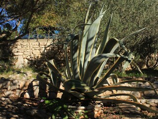 Ferienhaus Vis (Stadt)  6