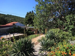 Ferienhaus Vis (Stadt)  19