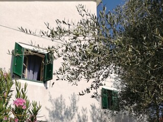 Ferienhaus Sutomišćica  5